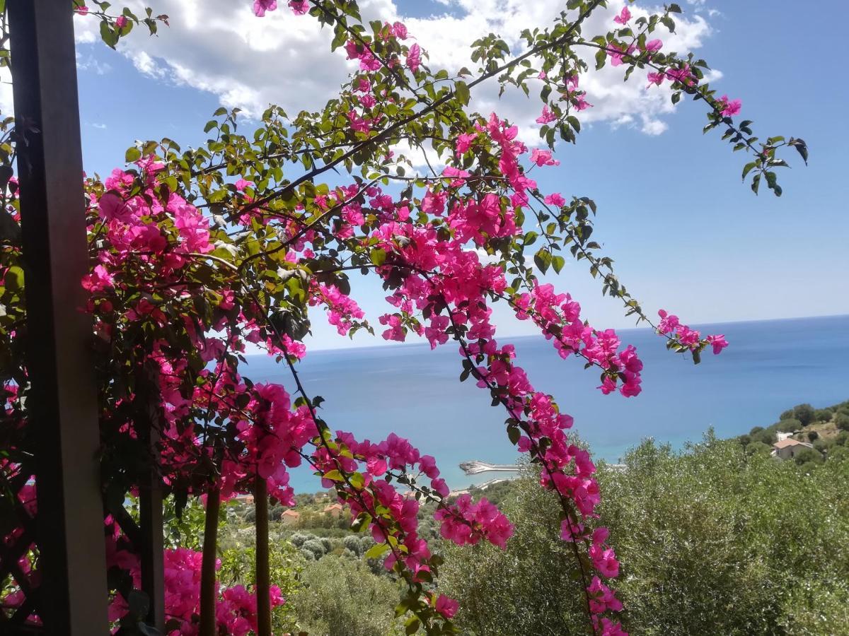 Marulivo Hotel Pisciotta Exterior foto